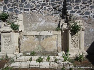 mpanarazzu-03-03-2014 13-31-09